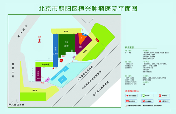 老年肏逼视频北京市朝阳区桓兴肿瘤医院平面图